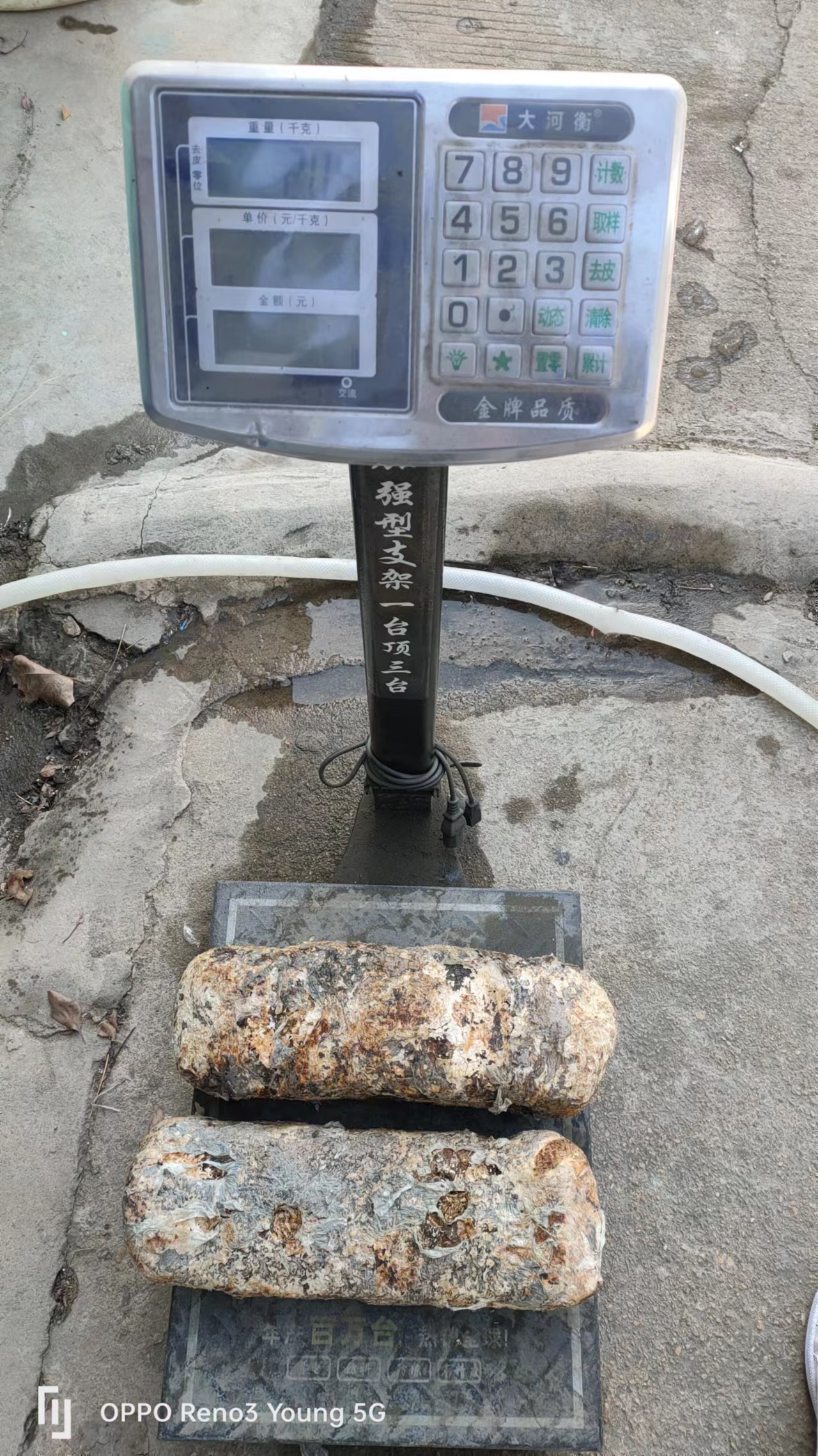 開工大吉｜鴻利機(jī)械祝大家2023財(cái)源翻翻！闔家幸福！事業(yè)蒸蒸日上！