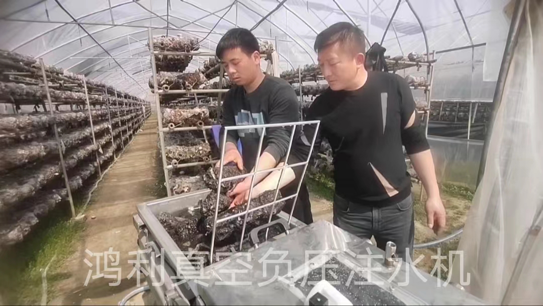 鴻利真空負(fù)壓注水機(jī)在湖北廣水市卓杰種植專業(yè)合作社得到菇民認(rèn)可