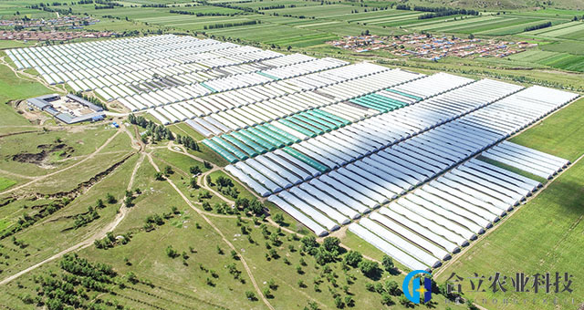 內(nèi)蒙古林西縣：冬夏兩季菌棚，菌棒完成“換崗”