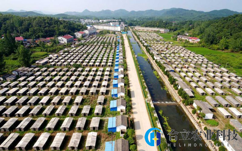 湖北隨縣：籌備成立香菇產業(yè)聯(lián)合黨委