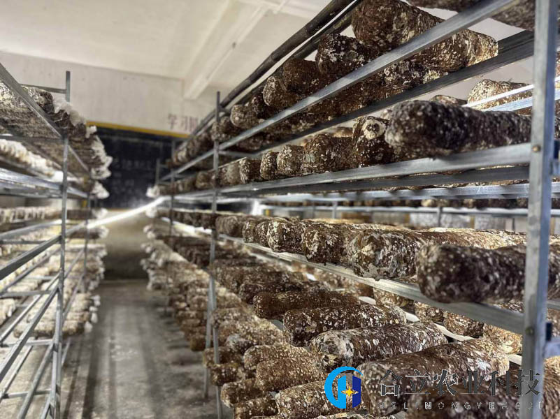 廣東乳源：洛陽鎮(zhèn)盤活撂荒地，拓寬增收渠道